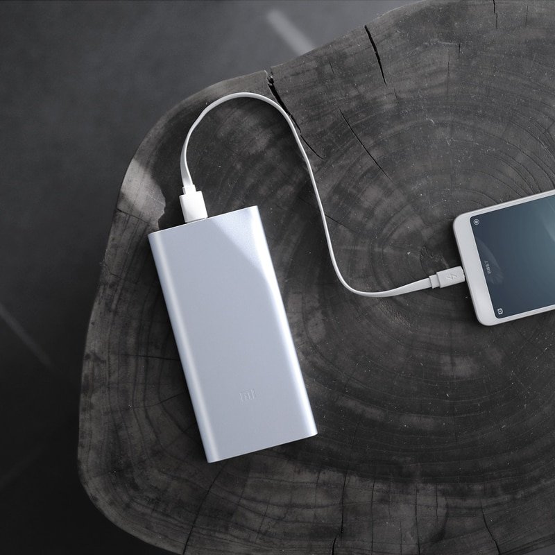Xiaomi 10000mAh Mi Power Bank 2i
