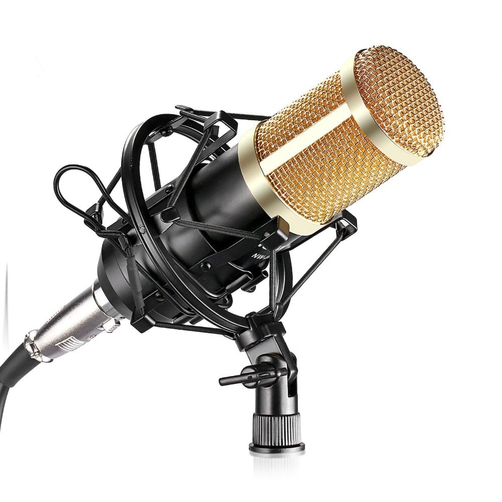 BM 800 Microphone