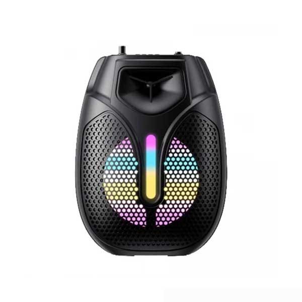Havit SF133BT Wireless Outdoor Speaker