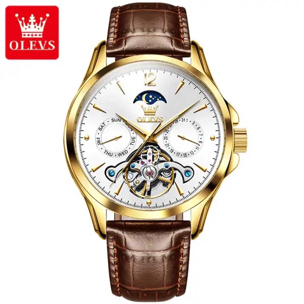 OLEVS 6663 Mechanical Men's Watch Waterproof Luminous Men's Trend Mechanical Watch