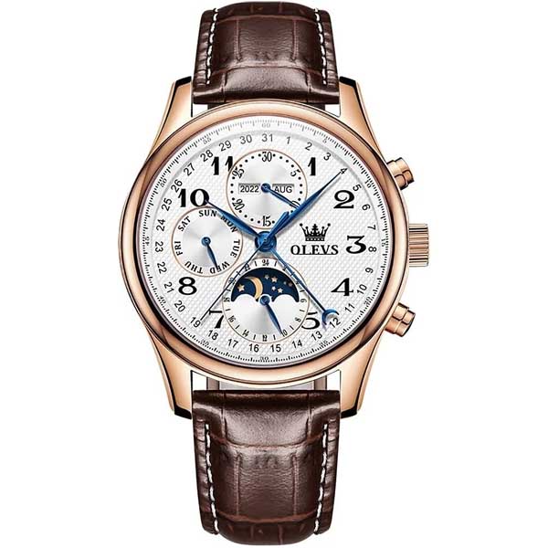 OLEVS 6667 Luminous Waterproof Automatic Mechanical Watch