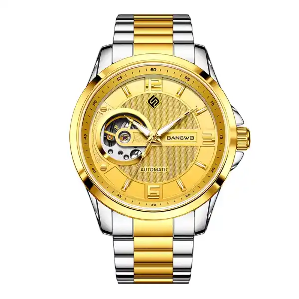 LIGE BW8817 Men's Watch - silver gold