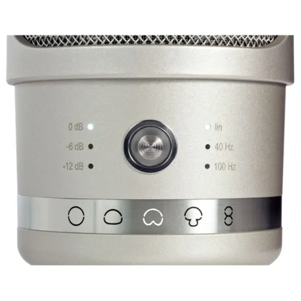 Neumann TLM 107 Large-Diaphragm Cardioid Condenser Studio Microphone