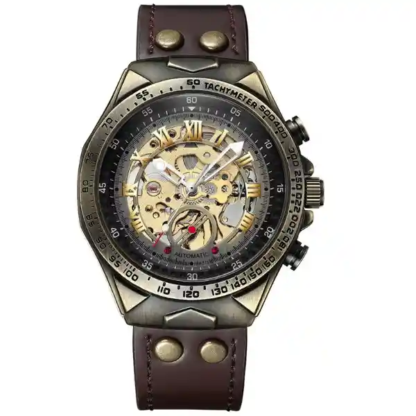 Binbond A275 Automatic Mechanical Men's Watch - brown