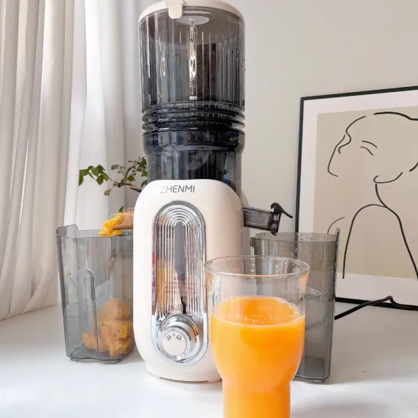 ZHENMI ZMGZ-Y2 Slow Juicer 1