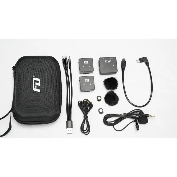 Feidu FM102 Wireless Microphone Dual Channel (1)