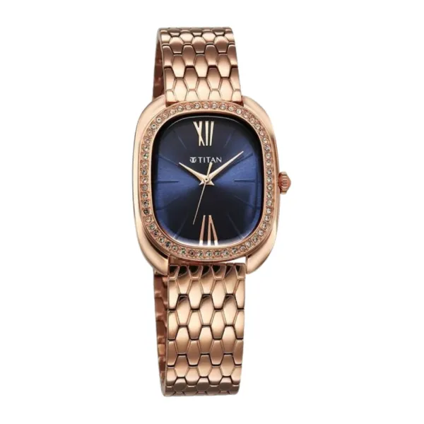 Titan 95317WM01 Watch For Women