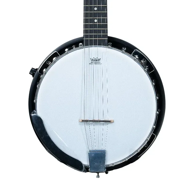 Giuliani GBJ B6E 6 String acoustic Electric banjo 2