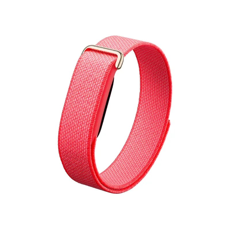 Google Fitbit Air 2