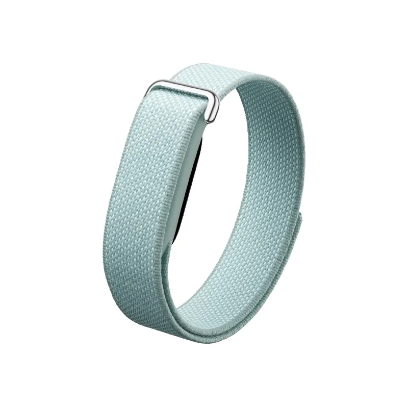 Google Fitbit Air 3