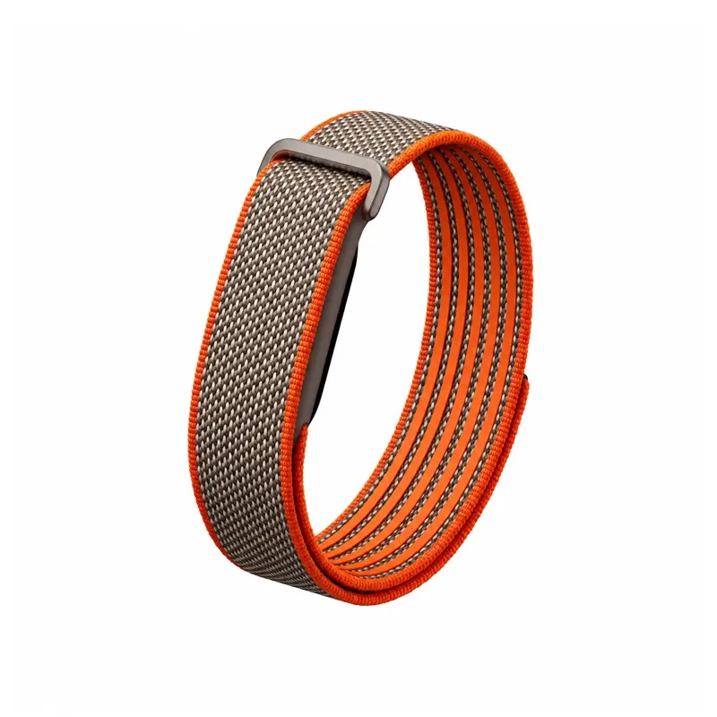 Google Fitbit Air 5