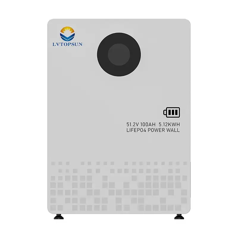 LVTOPSUN 51.2V 100AH Lithium Lifepo4 Battery 1