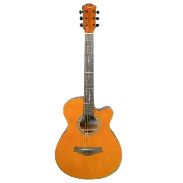 GIULIANI Acoustic Guitar GAG S4 EQ Pink - selected variant