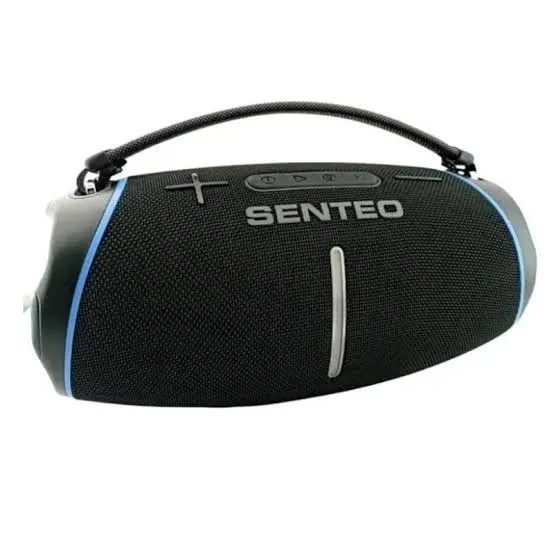 SENTEO STUDIO TSUNAMI 80W Bluetooth Speaker - selected variant