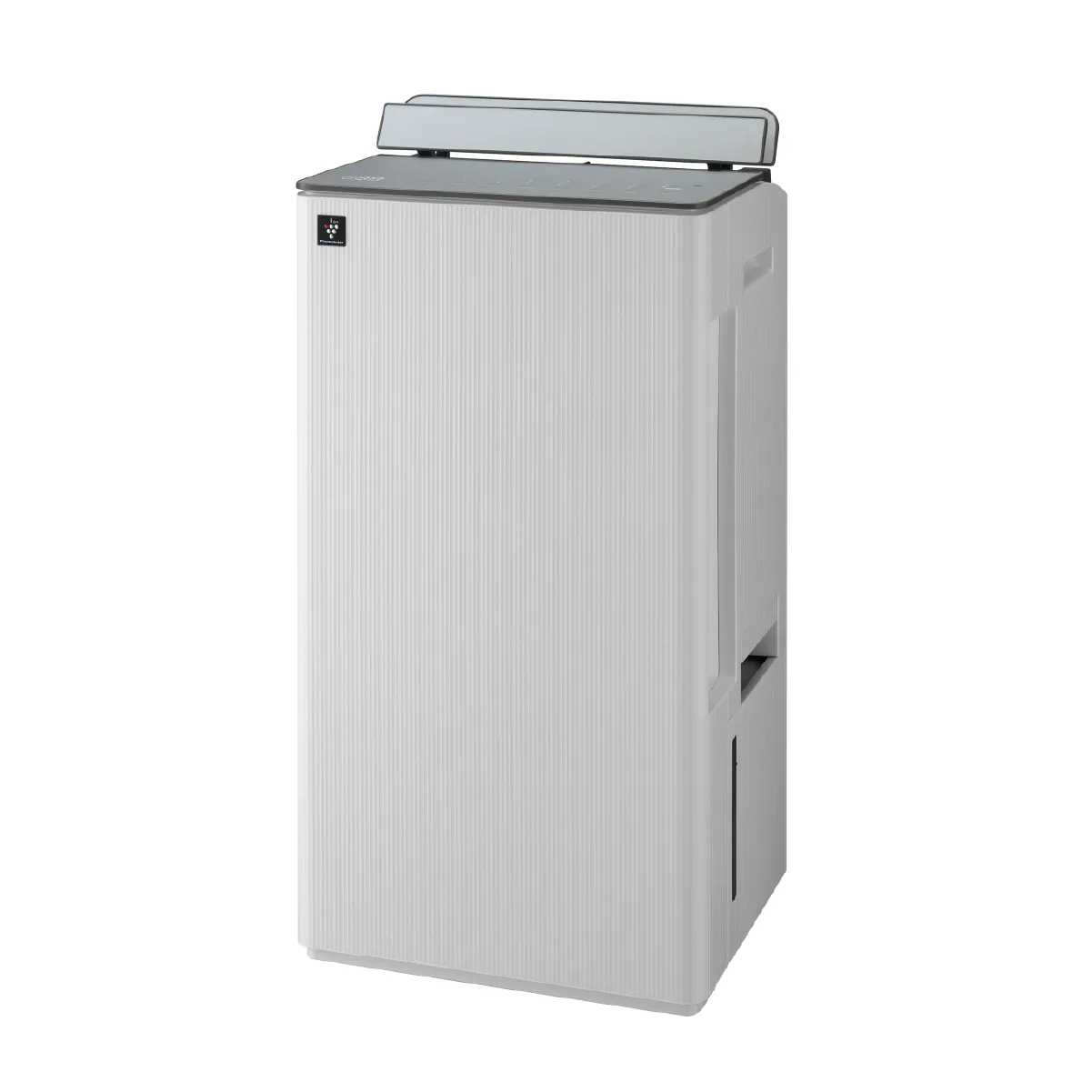 Sharp DW-T30F Dehumidifier with Air Purifier 30L