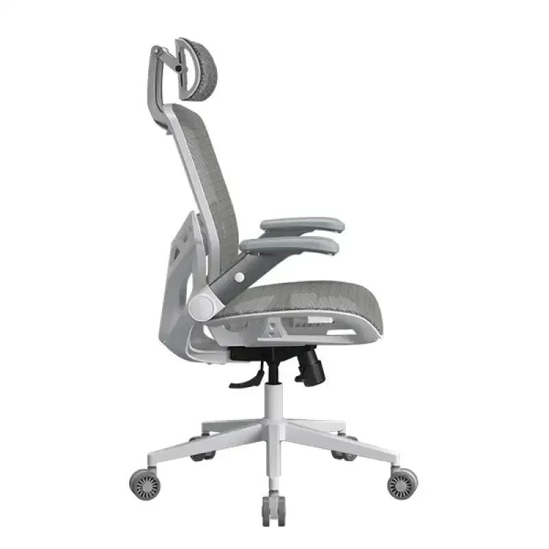 Speeder One White 2 800x800