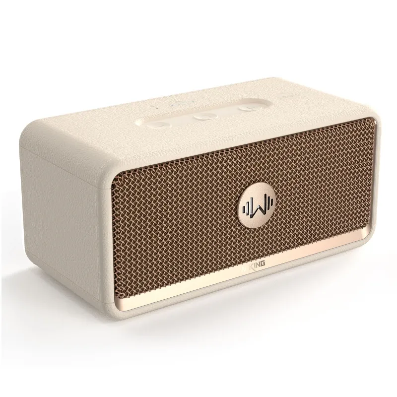 W King H130 Portable Speakers 2